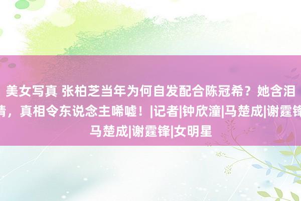 美女写真 张柏芝当年为何自发配合陈冠希？她含泪说出实情，真相令东说念主唏嘘！|记者|钟欣潼|马楚成|谢霆锋|女明星