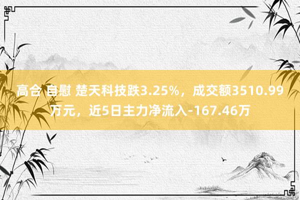 高合 自慰 楚天科技跌3.25%，成交额3510.99万元，近5日主力净流入-167.46万